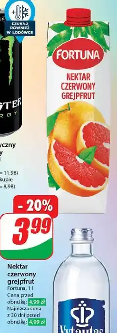 Dino Nektar czerwony grejpfrut Fortuna oferta