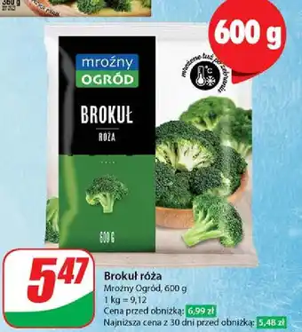 Dino Brokuły Mroźny Ogród oferta