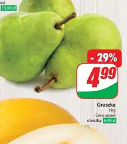 Dino Gruszka oferta