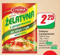 Dino Żelatyna z przyprawai Cykoria oferta