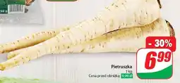 Dino Pietruszka korzeń oferta