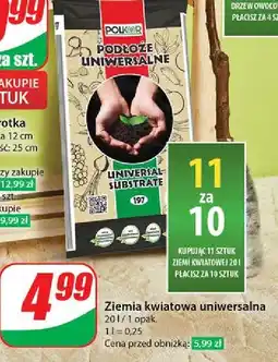 Dino Podłoże uniwersalne Polkor oferta