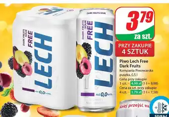 Dino Piwo Lech Free Dark Fruits Sour oferta