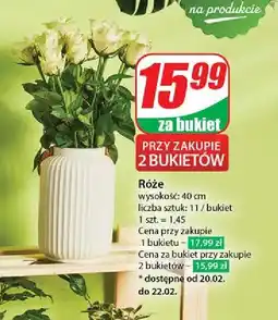 Dino Bukiet róż oferta