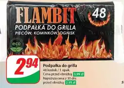 Dino Podpałka grilla Flambit oferta