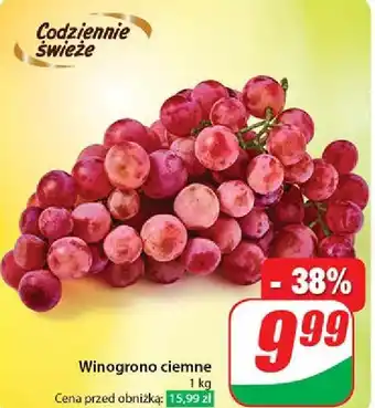 Dino Winogrona ciemne oferta