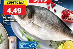 Lidl Dorada patroszona oferta