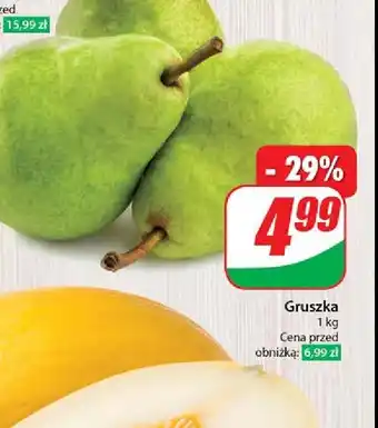 Dino Gruszki oferta