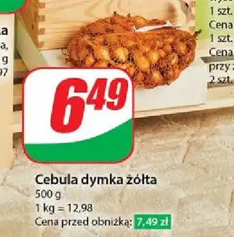 Dino Cebula dymka żółta oferta