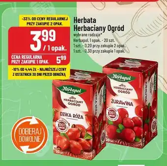 Polomarket Herbata dzika róża Herbapol herbaciany ogród oferta