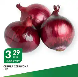 Eurocash Cash & Carry Cebula czerwona oferta