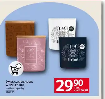 Selgros Świeca zapachowa oferta