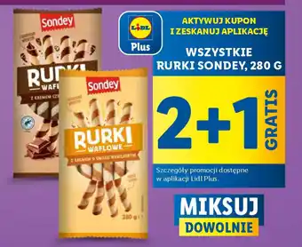 Lidl Rurki sondey oferta