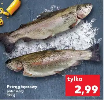 Kaufland Pstrąg tęczowy oferta