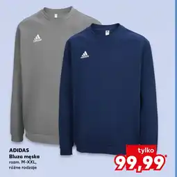 Kaufland Bluza męska Adidas oferta