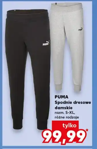 Kaufland Spodnie dresowe Puma oferta