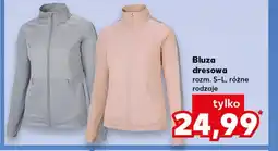 Kaufland Bluza dresowa oferta