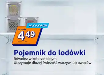 Action Pojemnik do lodówki oferta