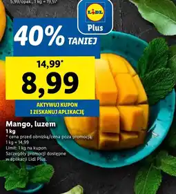 Lidl Mango Plus-Plus oferta