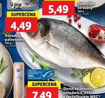 Lidl Dorada Targ rybny Lidla oferta