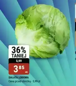 bi1 Sałata lodowa oferta