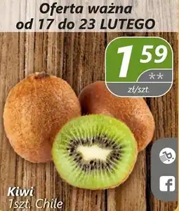 Społem Kiwi oferta