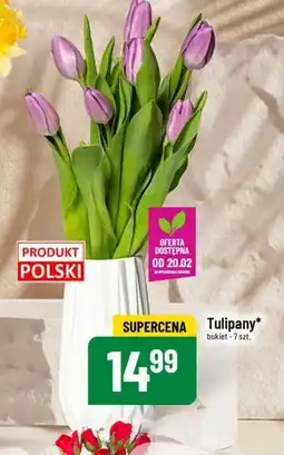 Polomarket Bukiet tulipanów Tulipany oferta