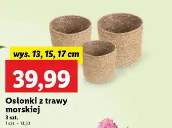 Lidl Osłonki z trawy morskiej oferta