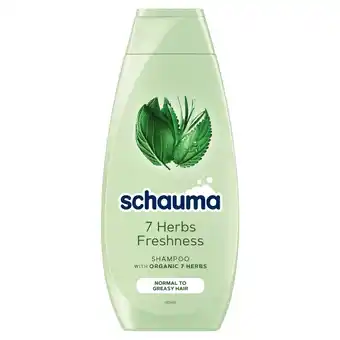 Selgros Schauma 7 Herbs Freshness Szampon do włosów przetłuszczających się i normalnych 400 ml oferta