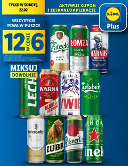 Lidl Piwa w puszce oferta