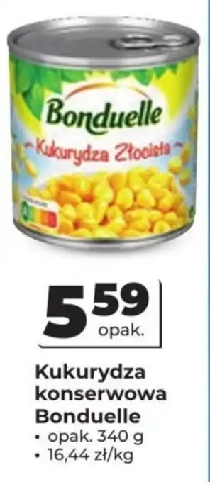 Odido Kukurydza konserwowa Bonduelle oferta