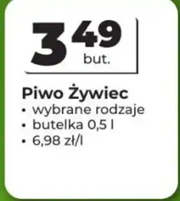 Odido Piwo Żywiec oferta