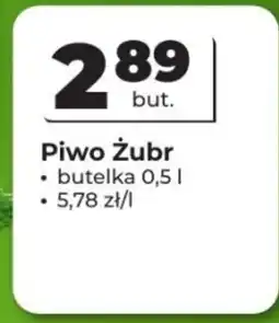 Odido Piwo Żubr oferta