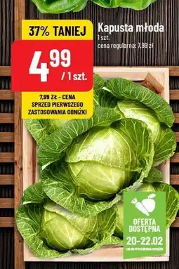 Polomarket Kapusta młoda oferta