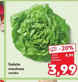 Kaufland Sałata masłowa oferta