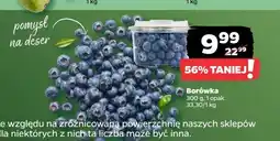 Netto Borówki amerykańskie oferta