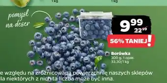 Netto Borówki amerykańskie oferta