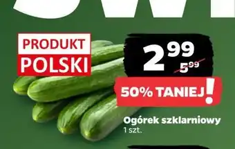 Netto Ogórek szklarniowy oferta