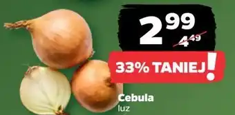 Netto Cebula oferta