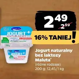 Netto Jogurt bez laktozy Maluta oferta