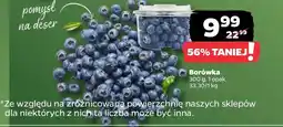 Netto Borówka amerykańska oferta