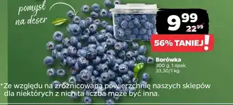 Netto Borówka amerykańska oferta