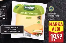 ALDI Ser gouda jung Hofburger oferta