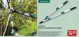 ALDI Nożyce teleskopowe do gałęzi Gardenline oferta