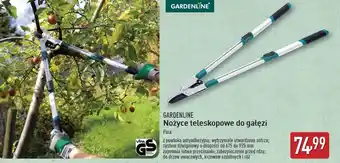 ALDI Nożyce teleskopowe do gałęzi Gardenline oferta