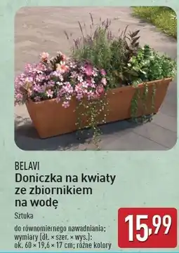 ALDI Doniczka na kwiaty ze zbiornikiem wodę Belavi oferta