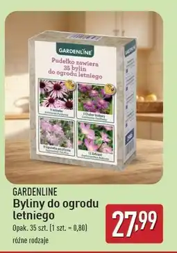 ALDI Zestaw bylin Garden Feelings oferta