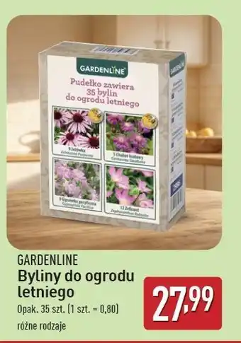 ALDI Zestaw bylin Garden Feelings oferta