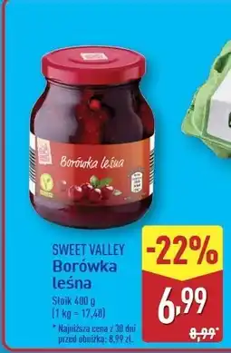 ALDI Borówka leśna Sweet Valley oferta