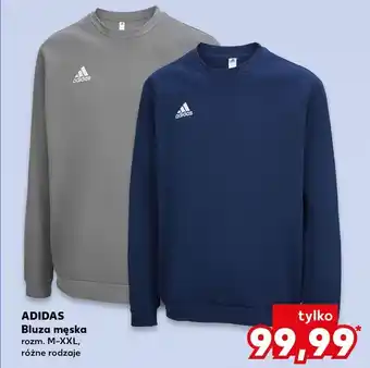 Kaufland Bluza męska m-xxl Adidas oferta